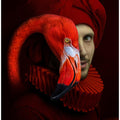 Red Flamingo