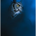 Art Prints of Blue