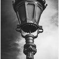 Portrait of lampshade