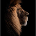 Art Prints of Sleeping King