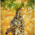 Art Prints of Giraffe at the Zoo