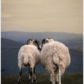 Art Prints of Yorkshire Love