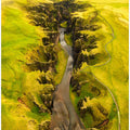 Feather Canyon