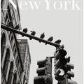 NYC Doves