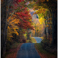 Autumn colors