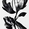 Black Flower