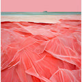 Crimson Dreams