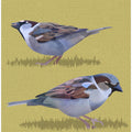 Canvas Art Print Sparrows