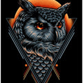 Canvas Art Print I Am The OWL