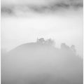FOG MONRNING