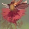 Ecstasy of Flight