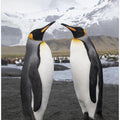 Canvas Art Print Love Brids