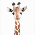 Canvas Art Print Baby Giraffe