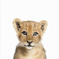 Canvas Art Print Baby Lion