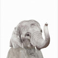 Canvas Art Print Baby Elephant