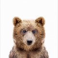 Canvas Art Print Baby Bear