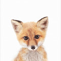 Canvas Art Print Baby Fox