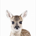 Canvas Art Print Baby Deer