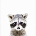 Canvas Art Print Baby Racoon