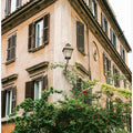 Botanical Trastevere Rome ||