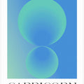 Capricorn Essence
