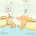 Lovely Dachshund Dog