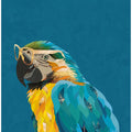 Canvas Art Print Vibrant macaw wearing glasses