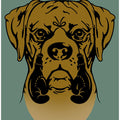 Canvas Art Print BOXER