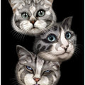 Canvas Art Print kisses