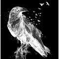 Born to be free (dark)
