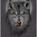 Dinner time (dark)
