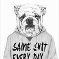 Same shit...
