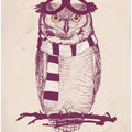 The aviator
