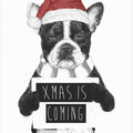 Xmas is coming