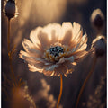 Flower in Morning Sun