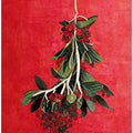 Hanging Verdure