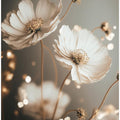 Petal Glow