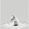 Snow Fox