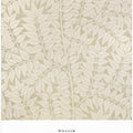 Branch