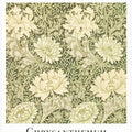 Chrysanthemum