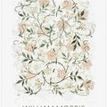 Jasmine