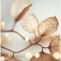 Fragile Elegance