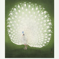 Peacock - Wide