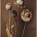 Three Dry Flowers