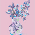 Apple Blossom - Pink