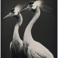 Cranes