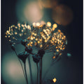 Enchanted Blossoms