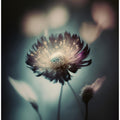 Ethereal Blossom