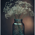 Glowing Serenity