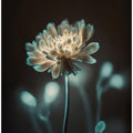 “Luminous Blossom”